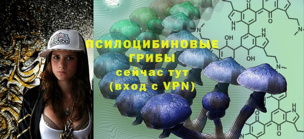 прущие грибы Бородино