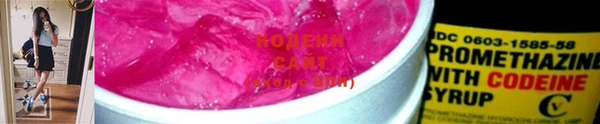прущие грибы Бородино