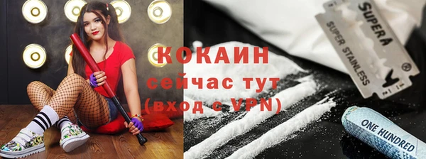 прущие грибы Бородино